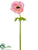 Anemone Spray - Pink - Pack of 12