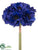 Anemone Bundle - Navy - Pack of 12