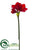 Amaryllis Spray - Red - Pack of 12