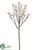 Silk Plants Direct Aster Spray - Beige - Pack of 12