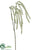 Amaranthus Hanging Spray - Green White - Pack of 12