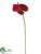 Anthurium Spray - Red - Pack of 12