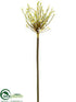 Silk Plants Direct Allium Spray - White - Pack of 12