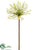 Silk Plants Direct Allium Spray - White - Pack of 6