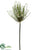 Spider Allium Spray - Cream - Pack of 6