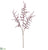 Wild Astilbe Spray - Burgundy - Pack of 12