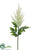 Astilbe Spray - White - Pack of 12