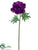 Anemone Spray - Purple - Pack of 12