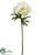 Anemone Spray - White - Pack of 12