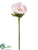 Anemone Spray - Pink Soft - Pack of 12