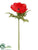 Anemone Spray - Tomato - Pack of 12