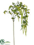 Silk Plants Direct Amaranthus Hanging Spray - Lime - Pack of 12