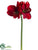 Amaryllis Spray - Red - Pack of 12