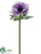 Anemone Spray - Amethyst Cream - Pack of 12