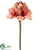 Amaryllis Spray - Terra Cotta - Pack of 12