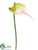 Anthurium Spray - Green Pink - Pack of 12