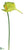 Anthurium Spray - Green - Pack of 12