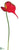 Anthurium Spray - Red - Pack of 12