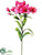 Alstromeria Spray - Fuchsia - Pack of 12