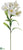 Alstromeria Spray - Ivory - Pack of 12