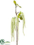 Silk Plants Direct Amaranthus Spray - Cream Green - Pack of 12