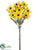 Rudbeckia Bundle - Yellow - Pack of 12