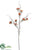 Blossom Branch - Brick - Pack of 12