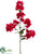 Bougainvillea Spray - Beauty - Pack of 6