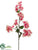 Bougainvillea Spray - White - Pack of 6