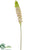 Silk Plants Direct Spike Blossom Spray - White - Pack of 12