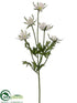 Silk Plants Direct Buttercup Spray - Cream White - Pack of 24