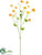 Silk Plants Direct Buttercup Spray - Peach - Pack of 12