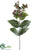 Hypericum Berry Spray - Burgundy Two Tone - Pack of 12