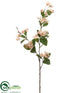 Silk Plants Direct Apple Blossom Spray - Peach - Pack of 12