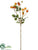 Rose Hip Spray - Orange Green - Pack of 12