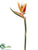 Bird of Paradise Spray - Orange Yellow - Pack of 6