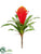 Silk Plants Direct Bromeliad Spray - Flame - Pack of 24