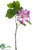 Bauhinia Spray - Pink Cerise - Pack of 12