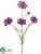 Cosmos Spray - Purple - Pack of 12