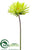 Cereus Spray - Green - Pack of 24