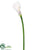 Silk Plants Direct Calla Lily Spray - White - Pack of 6