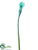 Calla Lily Spray - Aqua - Pack of 12