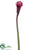 Calla Lily Spray - Purple - Pack of 12