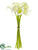 Calla Lily Bundle - White - Pack of 6