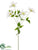 Clematis Spray - Cream White - Pack of 12