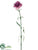 Carnation Spray - Boysenberry - Pack of 12