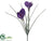 Crocus Spray - Violet - Pack of 12