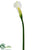 Calla Lily Spray - White Green - Pack of 12