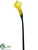 Calla Lily Spray - Yellow - Pack of 12