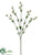 Currant Spray - Ivory - Pack of 12